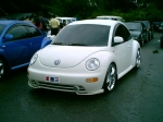 beetle 2