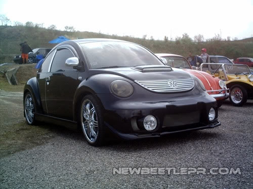 NewBeetle3