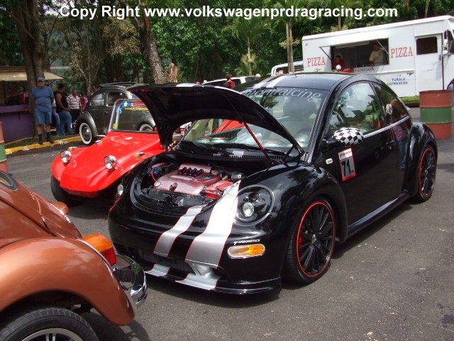 Beetle Black