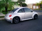 beetle 4