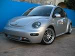 beetle6